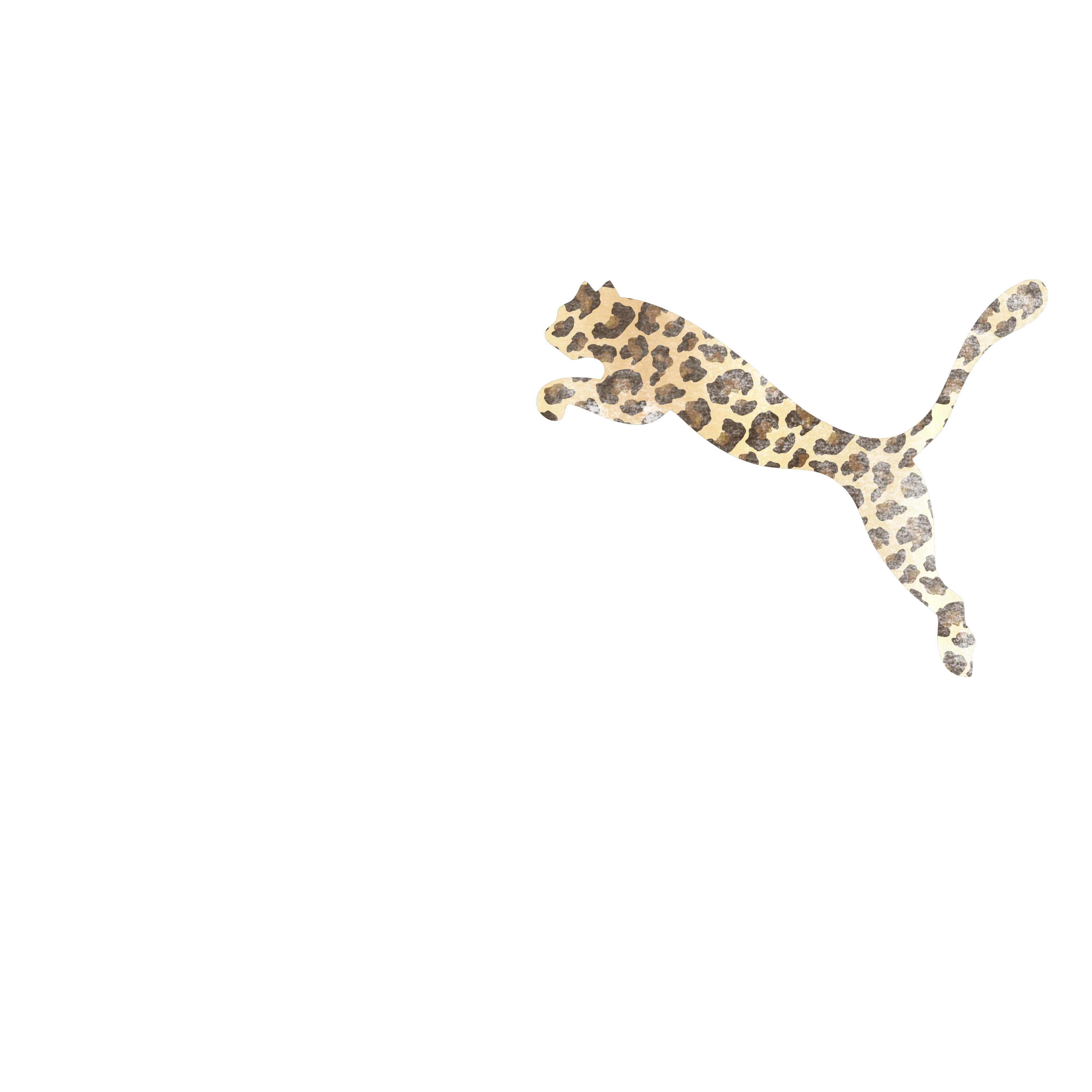 SillyGooseboys logo